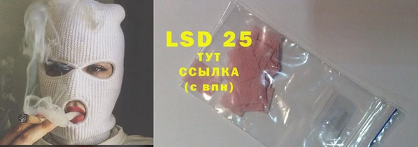 прущие крисы Елизово
