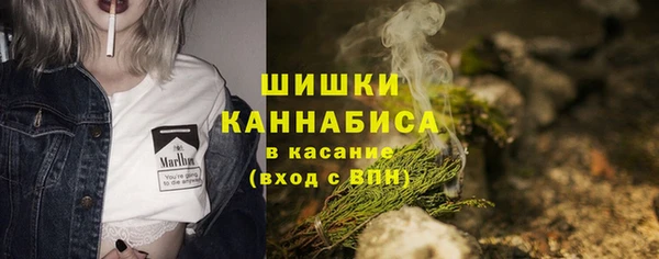 прущие крисы Елизово