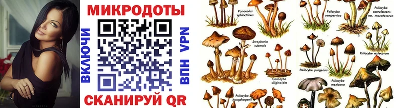 Галлюциногенные грибы Psilocybine cubensis  Купить  Козловка 